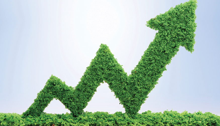 p6_green-economy_istock-891498072